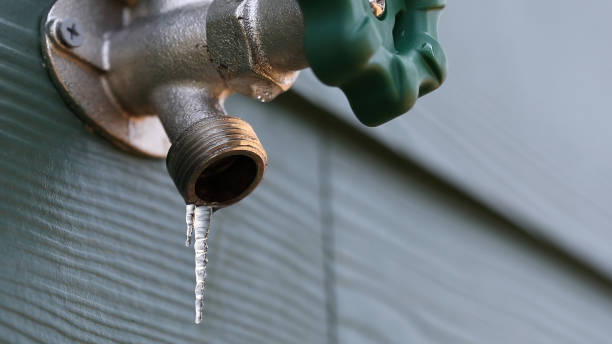 Best Emergency Plumbing Repair  in Columbus, NC